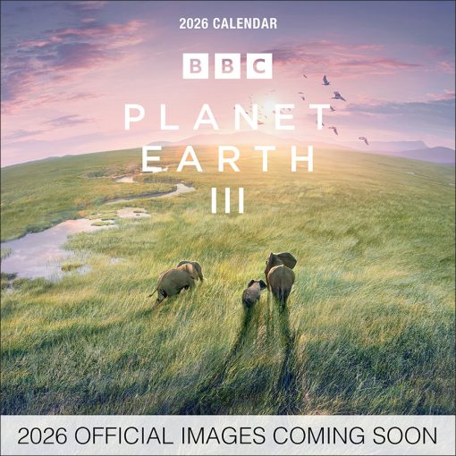 BBC Earth 2026 Square Wall Calendar