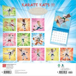 Alternative view of Karate Cats OFFICIAL | 2026 12 x 24 Inch (Hanging) Monthly Square Wall Calendar | Plastic-Free | BrownTrout | Pets Funny Animals Feline