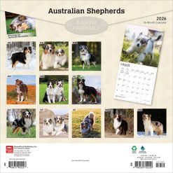 Alternative view of Australian Shepherds | 2026 12 x 24 Inch (Hanging) Monthly Square Wall Calendar | Plastic-Free | BrownTrout | Animals Dog Breeds