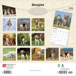 Alternative view of Beagles | 2026 12 x 24 Inch (Hanging) Monthly Square Wall Calendar | Plastic-Free | BrownTrout | Animals Dog Breeds