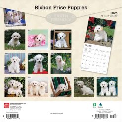 Alternative view of Bichon Frise Puppies | 2026 12 x 24 Inch (Hanging) Monthly Square Wall Calendar | Plastic-Free | BrownTrout | Animals Dog Breeds Puppy