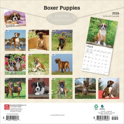 Alternative view of Boxer Puppies | 2026 12 x 24 Inch (Hanging) Monthly Square Wall Calendar | Plastic-Free | BrownTrout | Animals Dog Breeds Puppy