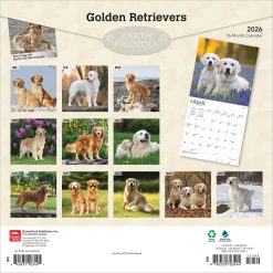 Alternative view of Golden Retrievers | 2026 12 x 24 Inch (Hanging) Monthly Square Wall Calendar | Foil Stamped Cover | Plastic-Free | BrownTrout | Animals Dog Breeds Retriever