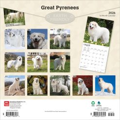 Alternative view of Great Pyrenees | 2026 12 x 24 Inch (Hanging) Monthly Square Wall Calendar | Plastic-Free | BrownTrout | Animals Dog Breeds