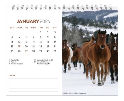 Horse Lovers | 2026 7.5 x 6 Inch Monthly Double-View Easel Desk Calendar | BrownTrout | Animals Horses Equestrian