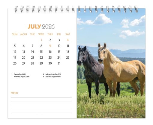 Horse Lovers | 2026 7.5 x 6 Inch Monthly Double-View Easel Desk Calendar | BrownTrout | Animals Horses Equestrian