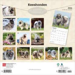 Alternative view of Keeshonden | 2026 12 x 24 Inch (Hanging) Monthly Square Wall Calendar | Plastic-Free | BrownTrout | Animals Dog Breeds
