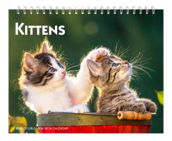 Kittens 2026 Double View Desk Easel