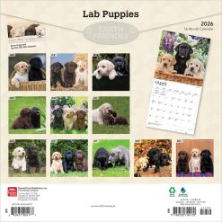 Alternative view of Labrador Retriever Puppies | 2026 12 x 24 Inch (Hanging) Monthly Square Wall Calendar | Plastic-Free | BrownTrout | Animals Dog Breeds Lab