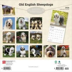 Alternative view of Old English Sheepdogs | 2026 12 x 24 Inch (Hanging) Monthly Square Wall Calendar | Plastic-Free | BrownTrout | Animals Dog Breeds
