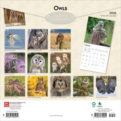 Alternative view of Owls | 2026 12 x 24 Inch (Hanging) Monthly Square Wall Calendar | Plastic-Free | BrownTrout | Wildlife Animals Birds