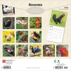 Alternative view of Roosters | 2026 12 x 24 Inch (Hanging) Monthly Square Wall Calendar | Plastic-Free | BrownTrout | Domestic Farm Barn Animals