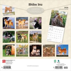 Alternative view of Shiba Inu | 2026 12 x 24 Inch (Hanging) Monthly Square Wall Calendar | Plastic-Free | BrownTrout | Animals Asian Dog Breeds