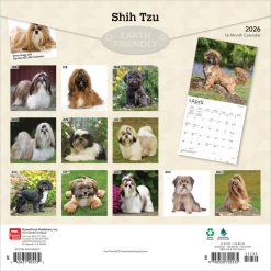 Alternative view of Shih Tzu | 2026 12 x 24 Inch (Hanging) Monthly Square Wall Calendar | Plastic-Free | BrownTrout | Animals Small Dog Breeds