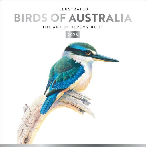 Birds of Australia | The Art of Jeremy Boot | 2026 12 x 24 Inch (Hanging) Monthly Square Wall Calendar | Foil Stamped Cover | Plastic-Free | BrownTrout | Animals Ornithology Wildlife