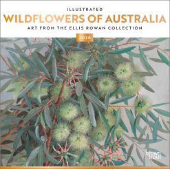 Illustrated Wildflowers of Australia 2026 Square