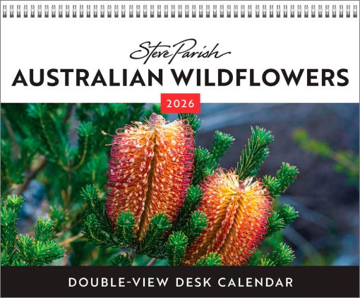 Australian Wildflowers | 2026 7.5 x 6 Inch Monthly Double-View Easel Desk Calendar | BrownTrout | Nature Floral
