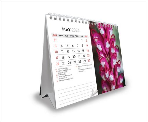 Australian Wildflowers | 2026 7.5 x 6 Inch Monthly Double-View Easel Desk Calendar | BrownTrout | Nature Floral