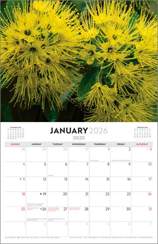 Australian Wildflowers - Steve Parish 2026 Horizontal