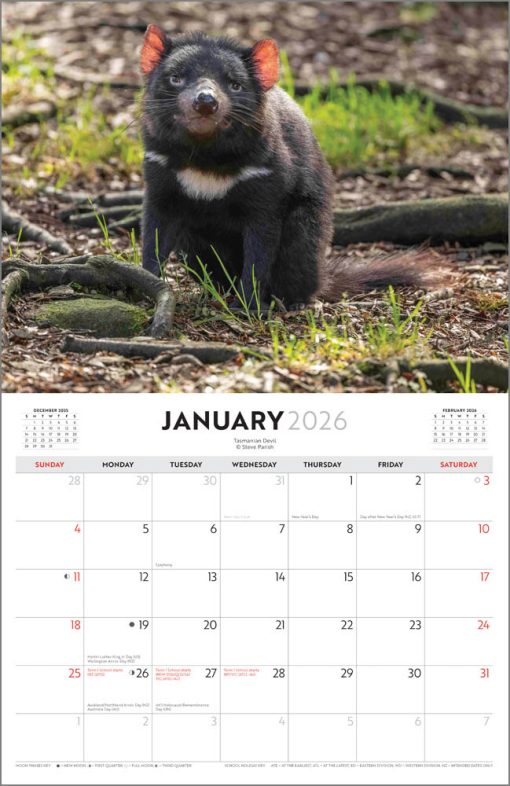 Australian Wildlife - Steve Parish 2026 Horizontal