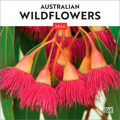 Australian Wildflowers 2026 Mini