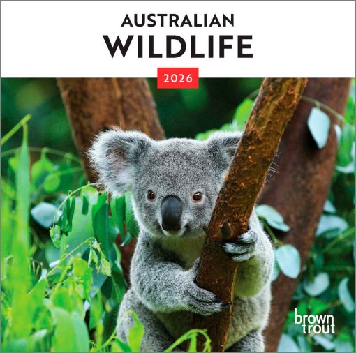 Australian Wildlife 2026 Mini