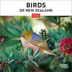 New Zealand Birds 2026 Mini