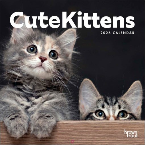 Cute Kittens 2026 Square