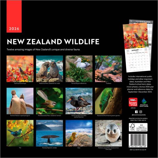 New Zealand Wildlife 2026 Square