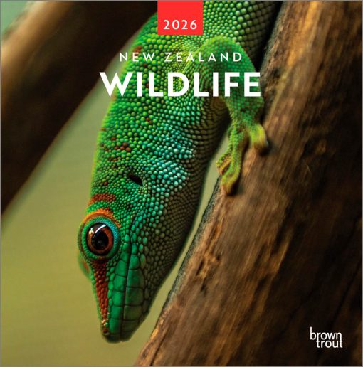 New Zealand Wildlife 2026 Square