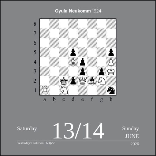 Chess 2026 Day-to-Day Desk Calendar