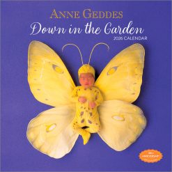 Anne Geddes 2026 Square
