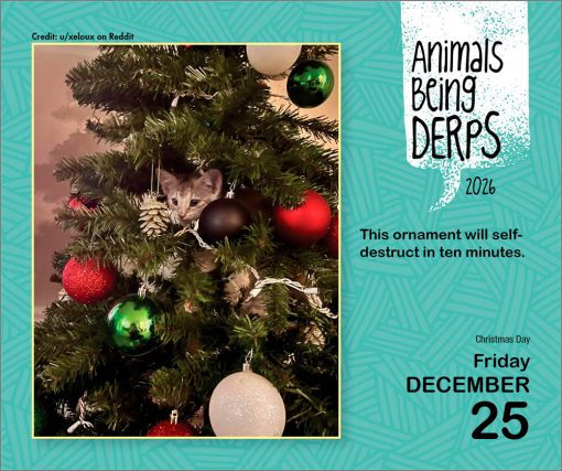 Animals Being Derps 2026 Boxed