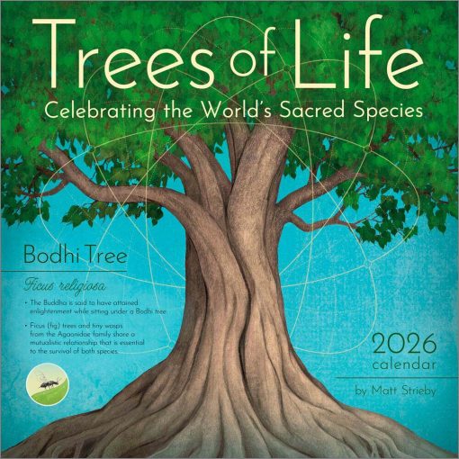 Trees of Life 2026 Square