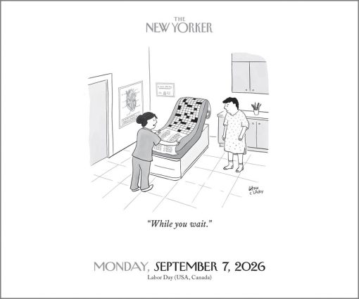 Cartoons From The New Yorker 2026 Boxed