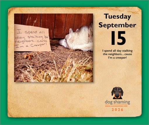 Dog Shaming 2026 Boxed