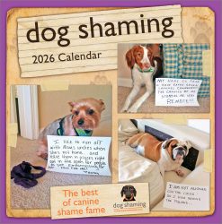 Dog Shaming 2026 Square