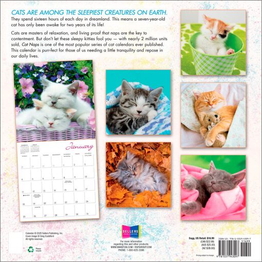Cat Naps 2026 Square Wall Calendar