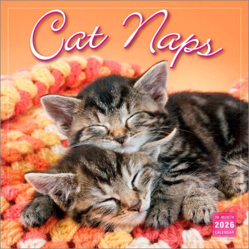 Cat Naps 2026 Square Wall Calendar
