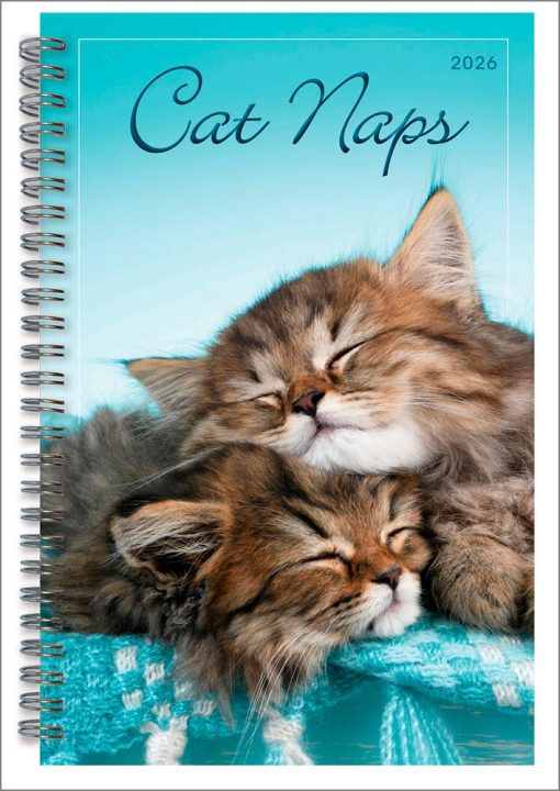 Cat Naps 2026 Diary