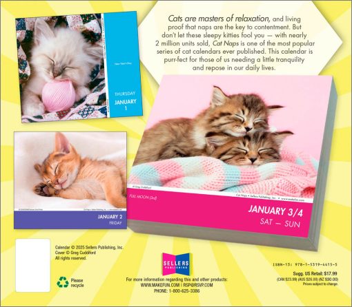 Cat Naps 2026 Day-to-Day Desk Calendar