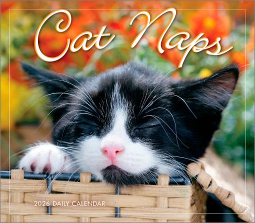 Cat Naps 2026 Day-to-Day Desk Calendar
