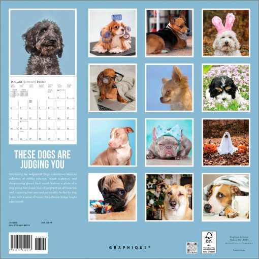 Judging Dogs 2026 Square Wall Calendar