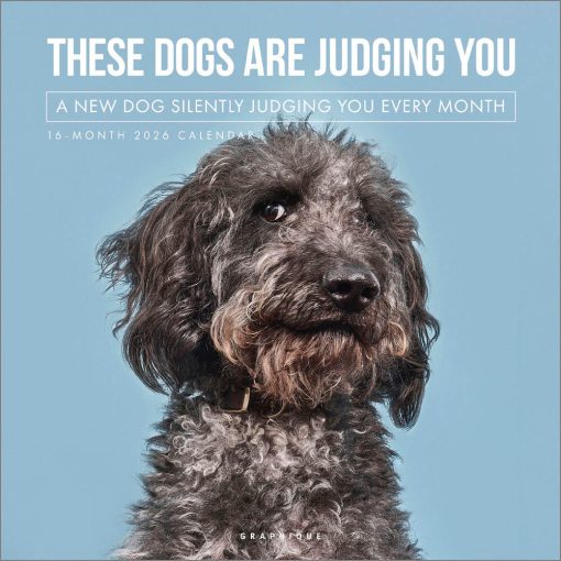 Judging Dogs 2026 Square Wall Calendar