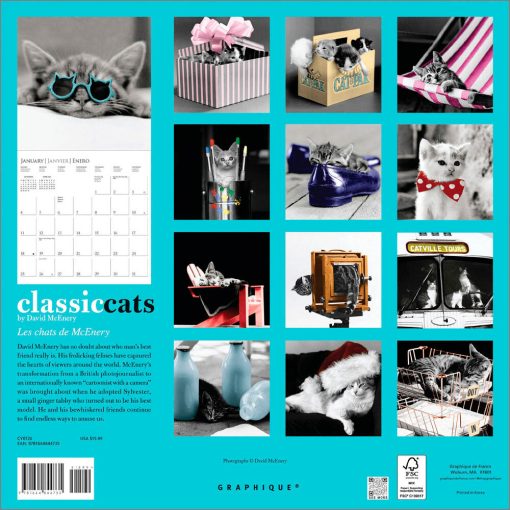 Classic Cats 2026 Square Wall Calendar