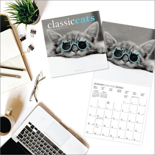 Classic Cats 2026 Square Wall Calendar