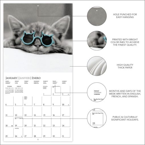 Classic Cats 2026 Square Wall Calendar