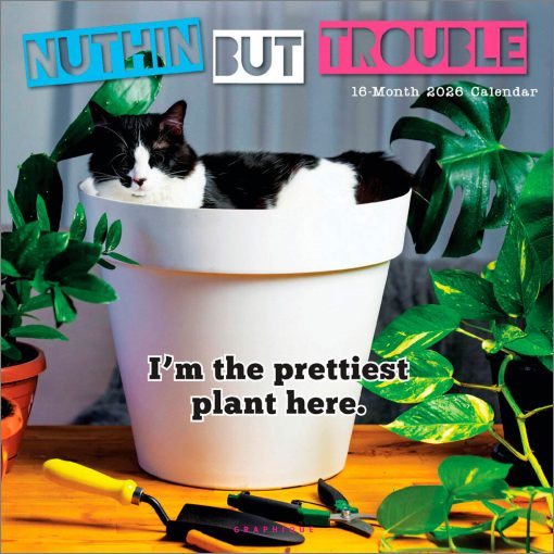 Nuthin But Trouble 2026 Square