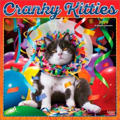 Avanti Cranky Kitties 2026 Square Foil