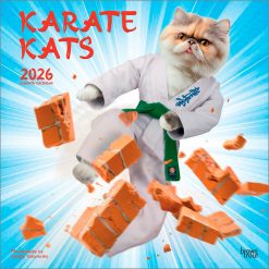 Karate Kats 2026 Square